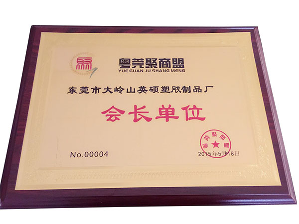 東莞市大嶺山英碩塑膠制品廠為月莞聚商盟會長單位！.jpg